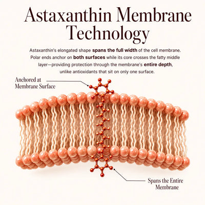 Astaxanthin - "Glowing Pill"