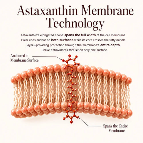 Astaxanthin - "Glowing Pill"