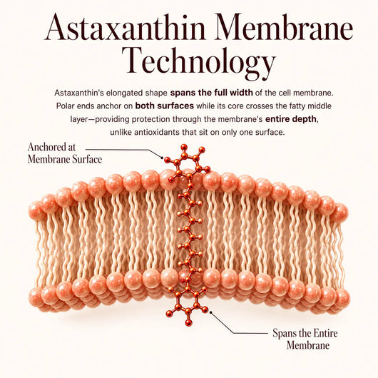 Astaxanthin - "Glowing Pill"